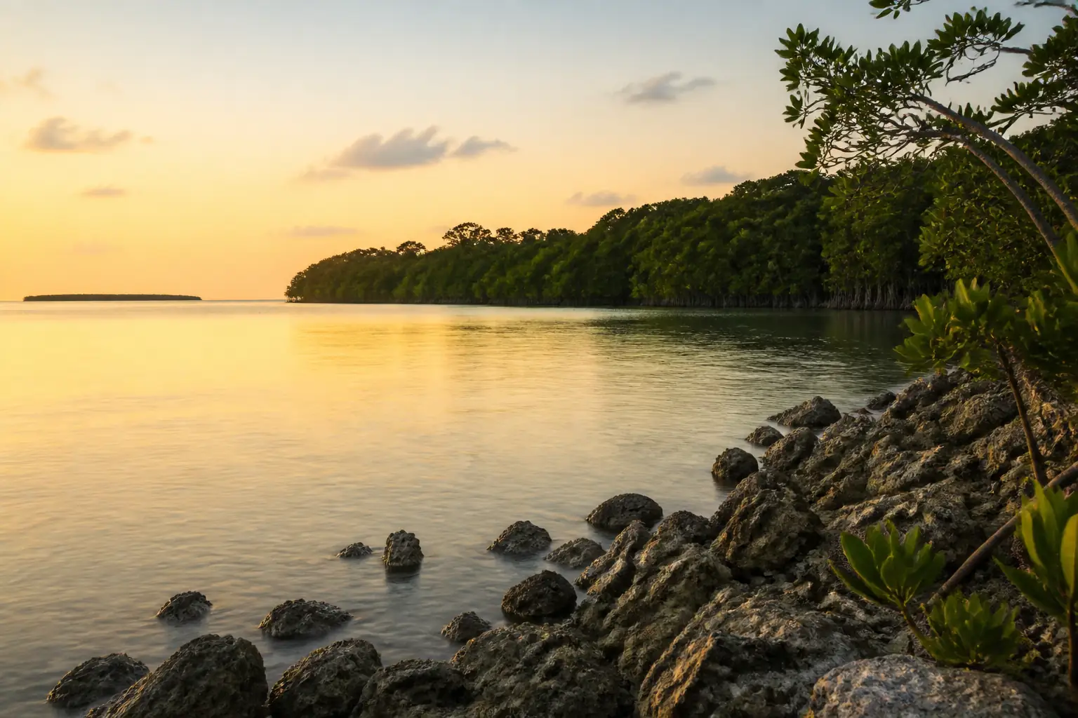Agua en Florida al amanecer